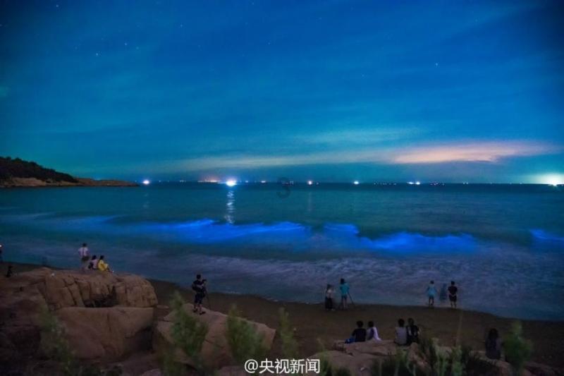 灵山奇缘